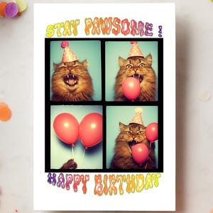 Carte de voeux maine coon photobooth rétro, cartes d'anniversaire drôles pour propriétaires et amoureux de chatons, cadeau carte d'anniversaire original pour lui ou elle