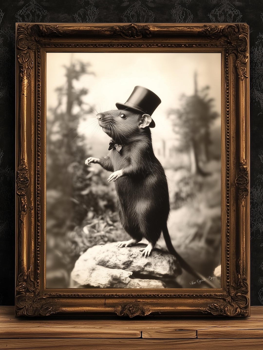 Victorian Rats Fancy Rich Rat Wearing Top Hat, Vintage Victorian Photograph, Wall ...