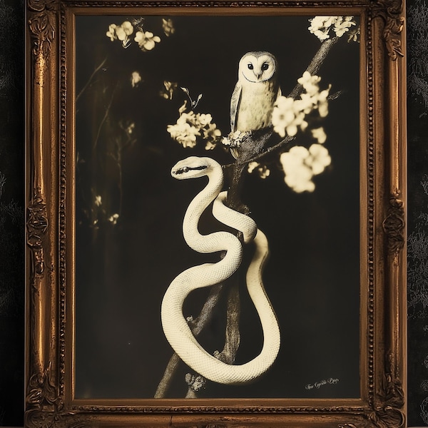 Vintage Owl and Snake Art Print - Dark Academia Aesthetic, Gothic Nature Wall Decor, Mysterious Animal Poster, Antique Black and White Print