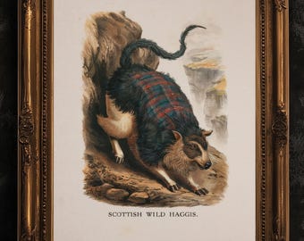 Scottish Wild Haggis Print | Vintage Tartan Cryptid Art