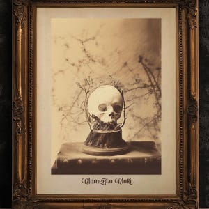 Memento Mori Art Print, Vintage Skull Wall Art, Vanitas Skull and Flowers Poster, Gothic Home Decor, Victorian Botanical Macarbre Postcard