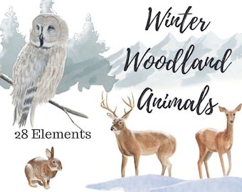 Winter Woodland Animals Watercolor Clipart (PNG)