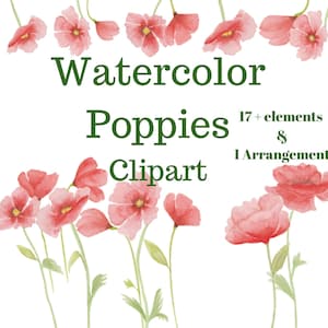 Watercolor Poppies Clipart,Red Poppy Clipart,Poppy Clipart,Poppies Clipart,Watercolor Flower Clipart,Poppy Download,Poppy PNG,Hand Painted.