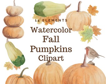 Watercolor Pumpkin Clipart, Fall Leaves, Thanksgiving, Halloween (Digital Download)