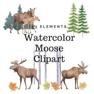 Aquarel Moose clipart functies: Bull Moose, baby Moose, forest elementen, Moose illustratie, bosrijke clipart, Instant Digitale Download PNG