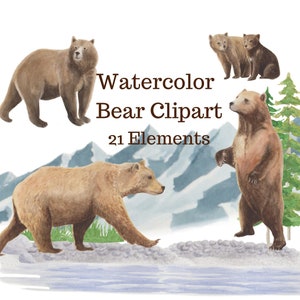 Clipart d'ours d'aquarelle/Baby Bear Clipart/Bear PNG,Grizzly Bear clipart, Brown Bear Clipart,Mama Bear PNG,Commercial Use/Nature PNG clipart