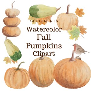 Watercolor pumpkin clipart, Thanksgiving clipart,Halloween Pumpkin,Harvest clipart,Halloween clipart,Fall leaf clipart,Digital download, PNG