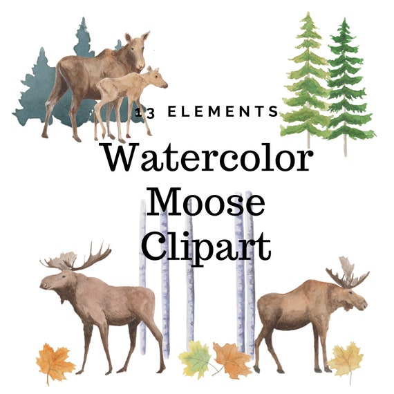 Watercolor Moose Clipart Features Bull Moosebaby Moose Etsy Watercolor Moose Clipart Features Bull Moosebaby Moose Etsy
