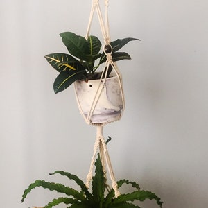 May include: Two plants hanging in macrame plant hangers. The top plant is in a white ceramic pot and the bottom plant is in a pink plastic pot.