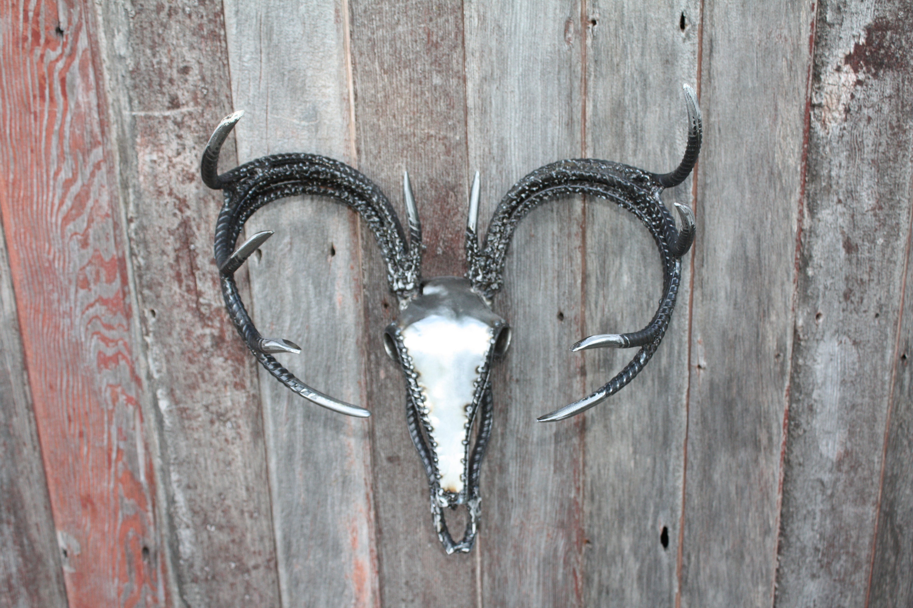Rebar Deer Skull Etsy