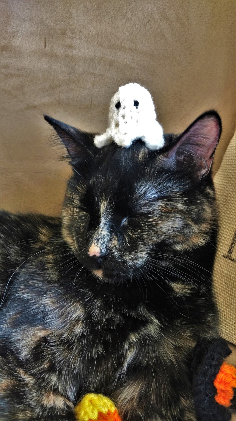 Ghost Halloween Cat Toy Etsy
