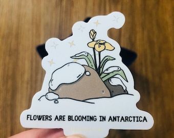 Blumen Blühen in der Antarktis || Revolution || Vinyl Sticker Aktivismus Bürgerrechte Soziale Gerechtigkeit Gerechtigkeit Klimawandel