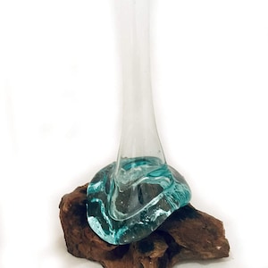 Root wood vase decoration coffee root coffee root vase glass vase narrow glass handcrafted hand made art real wood decoration vase unique