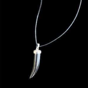 May include: A silver necklace with a black tooth pendant. The necklace is made of a thin black cord.
