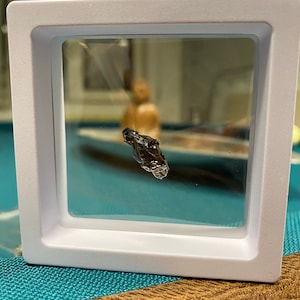 1x meteorite specimen from Campo del Cielo, Argentina with floating frame