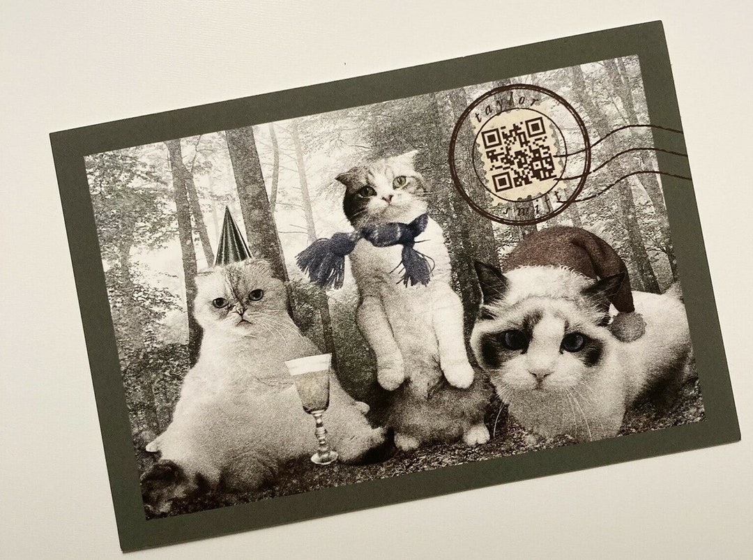 Taylor Swift Cats Meredith Grey Olivia Benson Benjamin Button Holiday