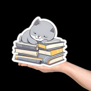 Anime Grey Cat laying on books