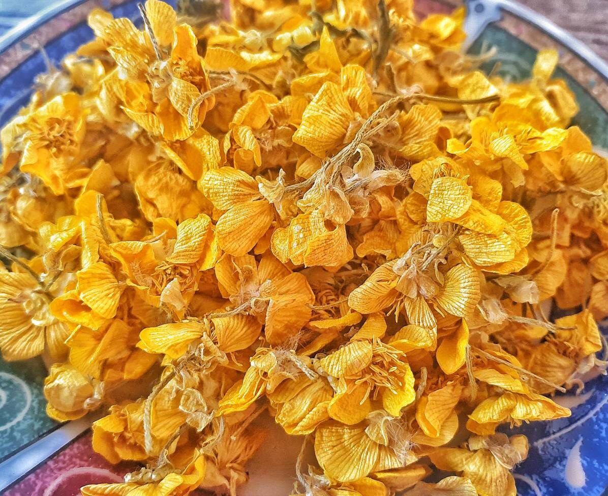 Renoncules Séchées Pour L'encens en Vrac Faisant Des Sacs Mojo et Fabrication de Sorts Les Rituels D