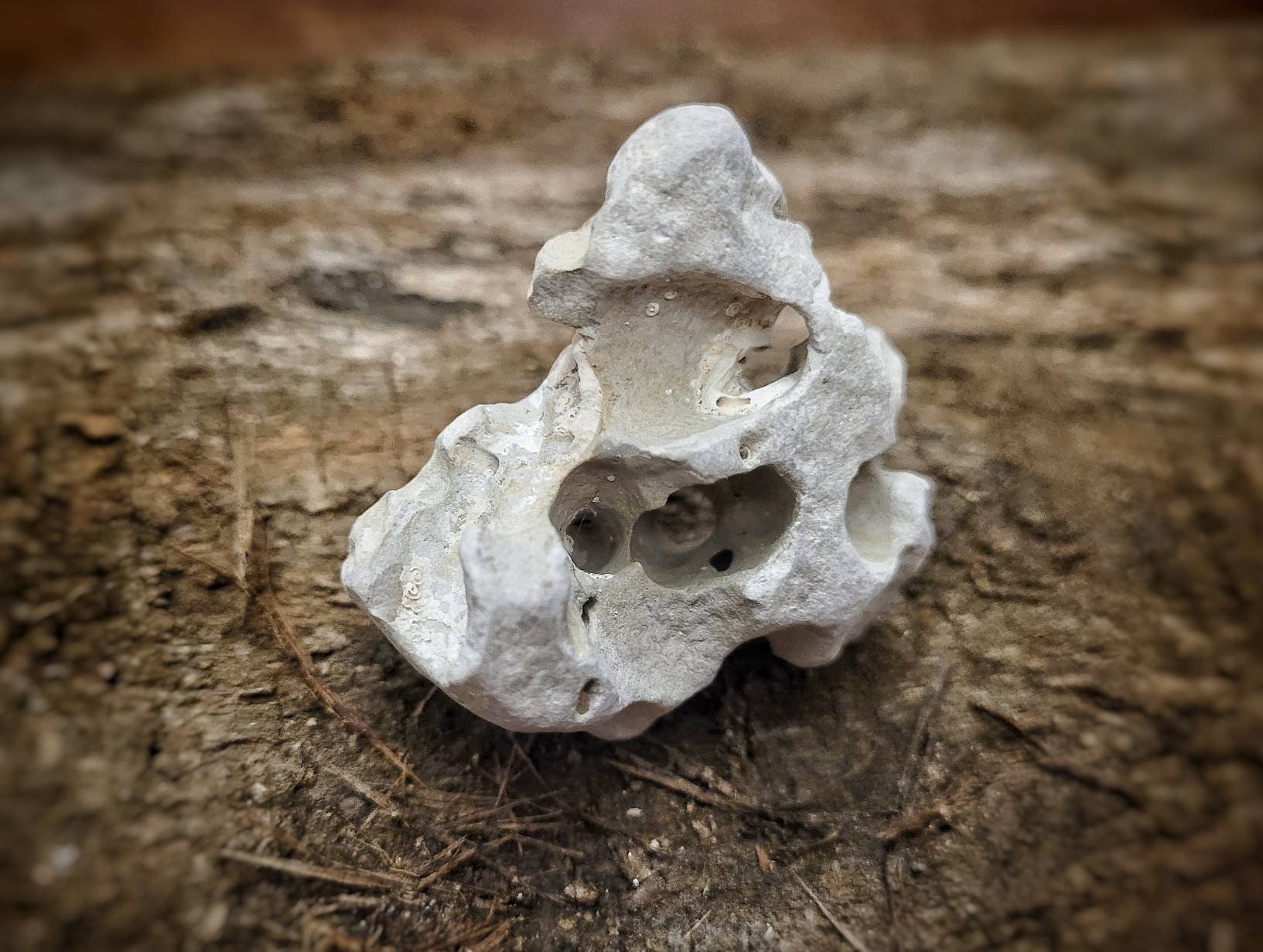 Hagstone Naturel Sorcières Pierre Protection Amulette Fée Adder Sainte Fae Wicca Magie Hag Yule Arbr