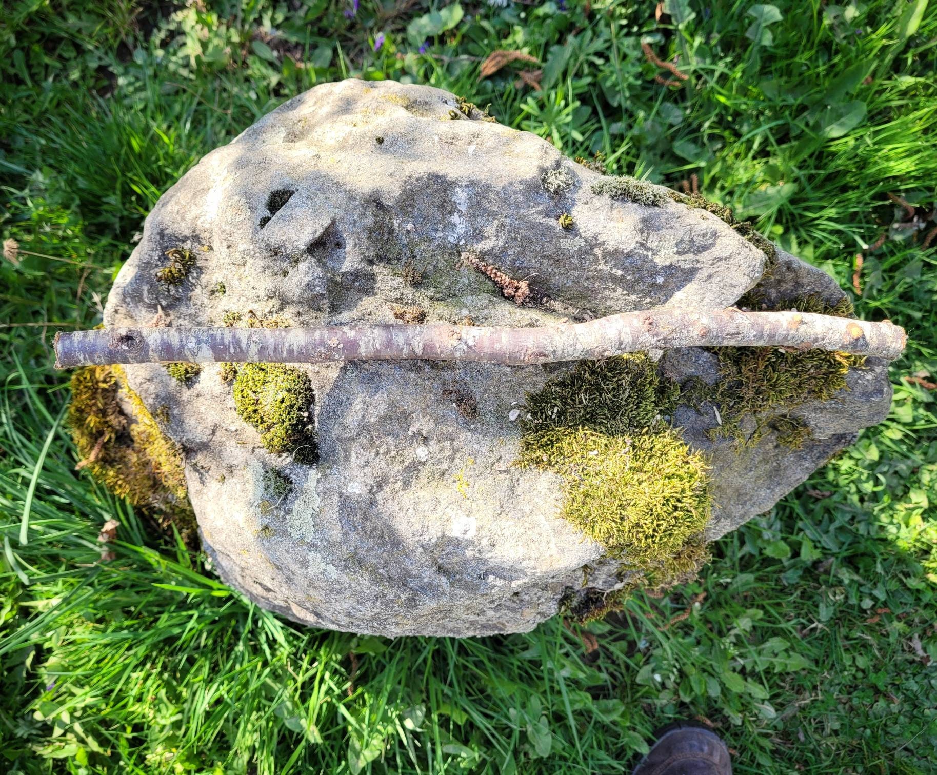 Longueur de Bois d'aubépine Pour La Fabrication Baguettes Fournitures Sorcellerie Faites Votre Propr