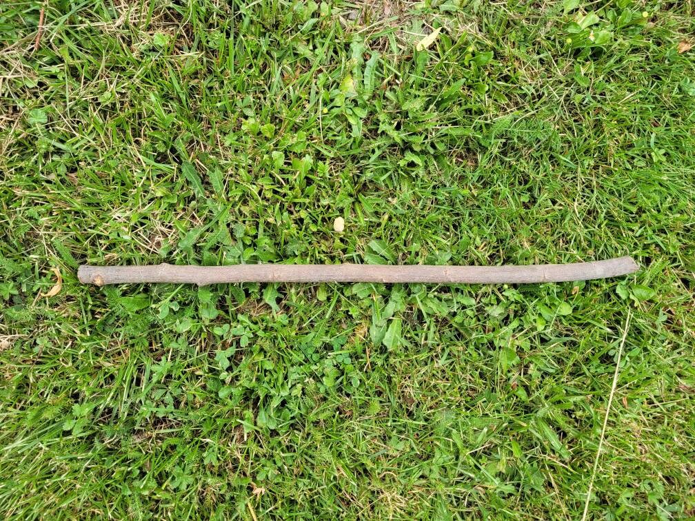 Longueur Du Bois Rowan Pour La Baguette Faisant Des Approvisionnements de Sorcellerie Cendre Montagn