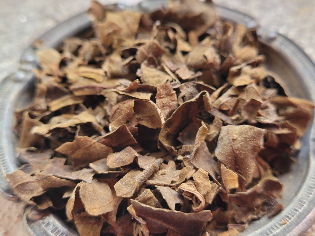 Feuille de Figuier Séchée Pour La Fabrication Sacs Mojo et Travaux Sorts Relatifs à L'amour, Divinat