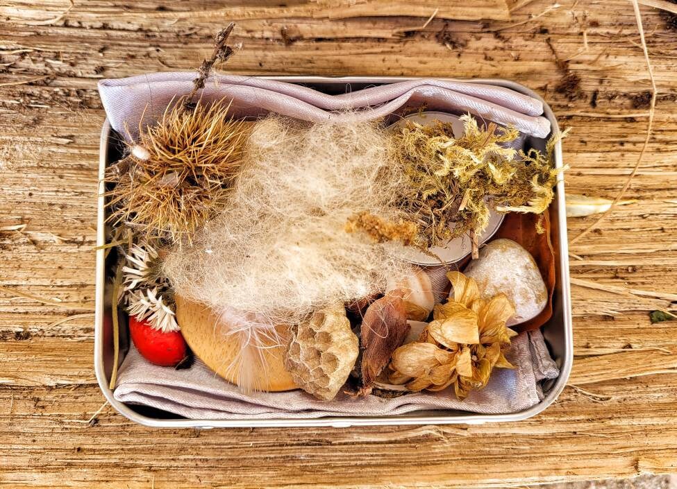 Ensemble d'offrandes Païennes Dieu Païen Offrandes Naturelles Étain Hedgewitch Autel Offrande Rituel