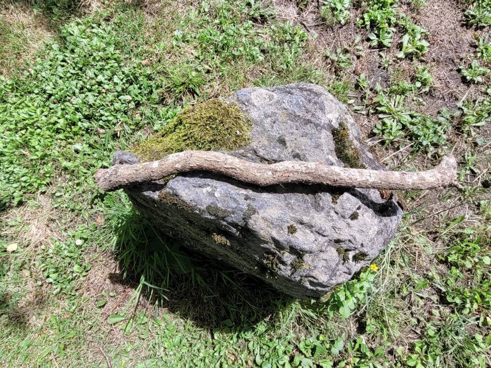 Longueur de Bois Chêne Pour Baguette Faire Des Fournitures Sorcellerie Votre Propre Rituels Soltice 