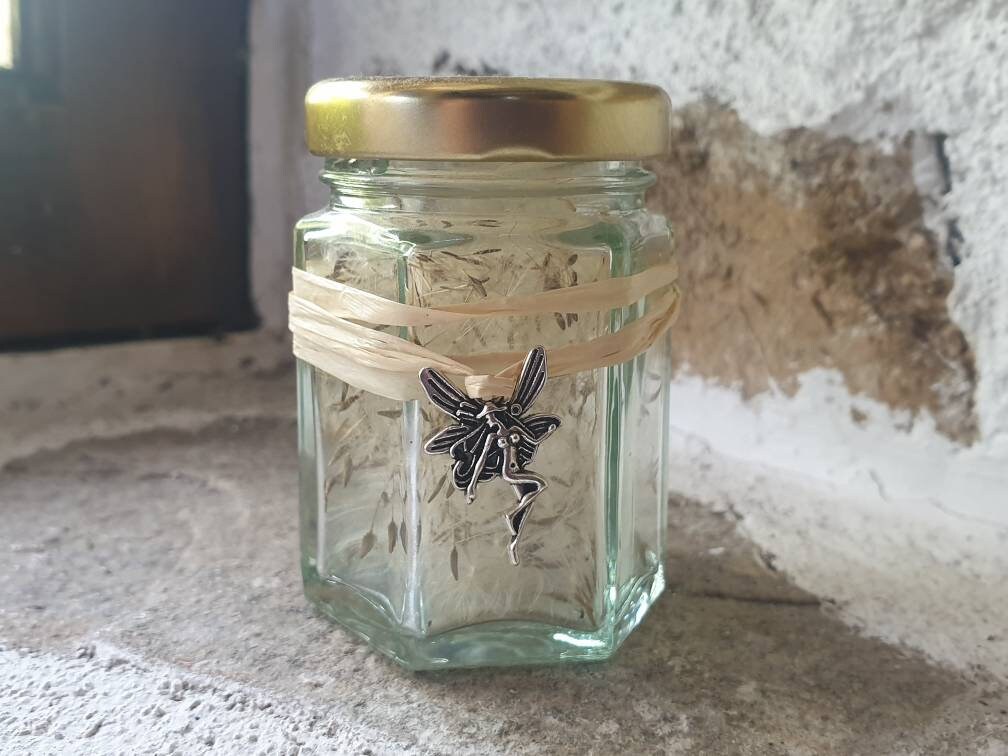 Fairy Wishes Make A Wish Graines de Pissenlit Fae Wicca Fairy European Folklore Sympathique Magie Ol