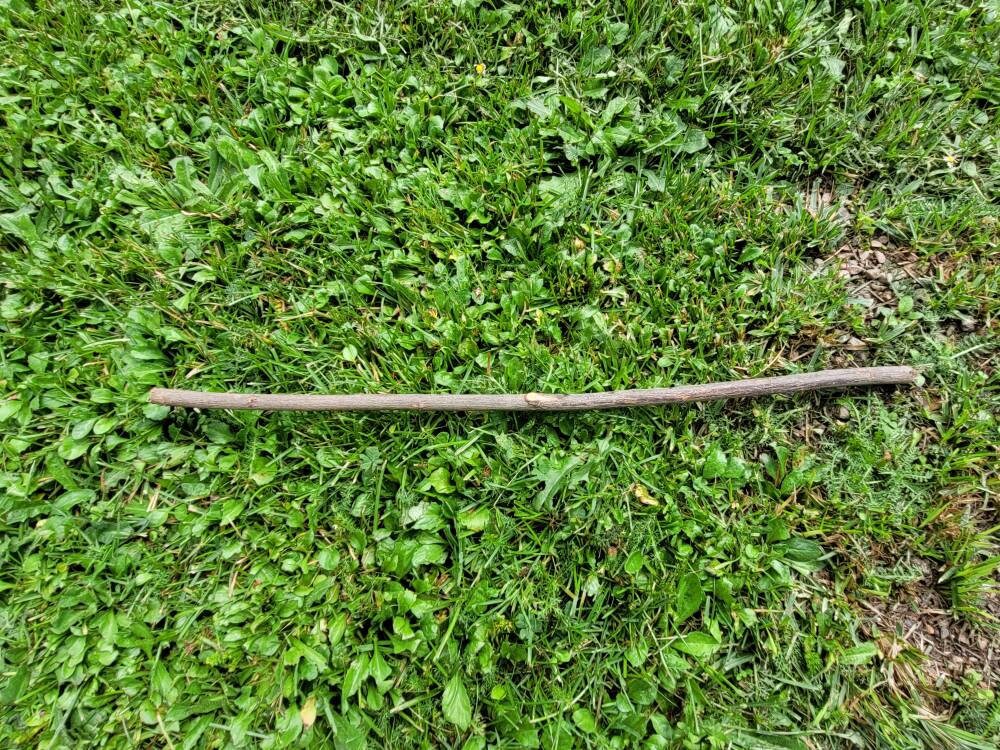 Longueur Du Saule Pour Baguette Faire Des Fournitures de Sorcellerie Votre Propre Sorcières Handfast