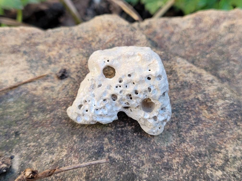 Hagstone Naturel Sorcières Pierre Protection Amulette Fée Adder Sainte Fae Wicca Magie Hag Yule Arbr