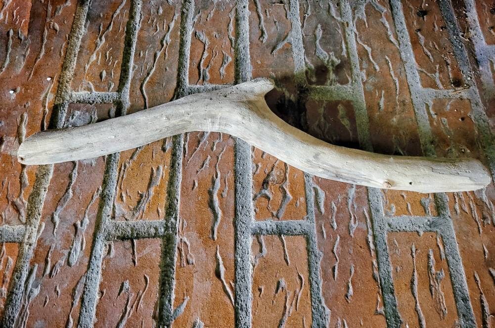 Morceau de Bois Flotté Pour La Fabrication Baguette en Naturel Dift Sorcières Sea Goddess Autel Déco