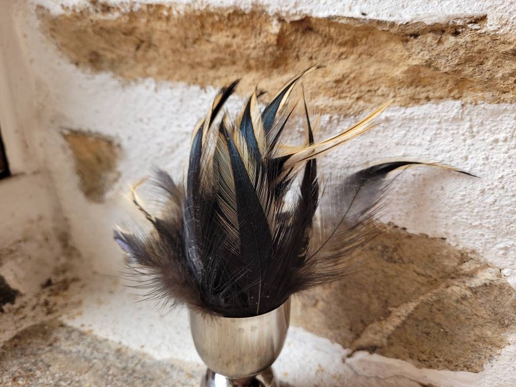 Sélection de Petits Tons Noirs et Dorés Plumes Poulet en Liberté Éthiques Projets Sorcellerie Attrap