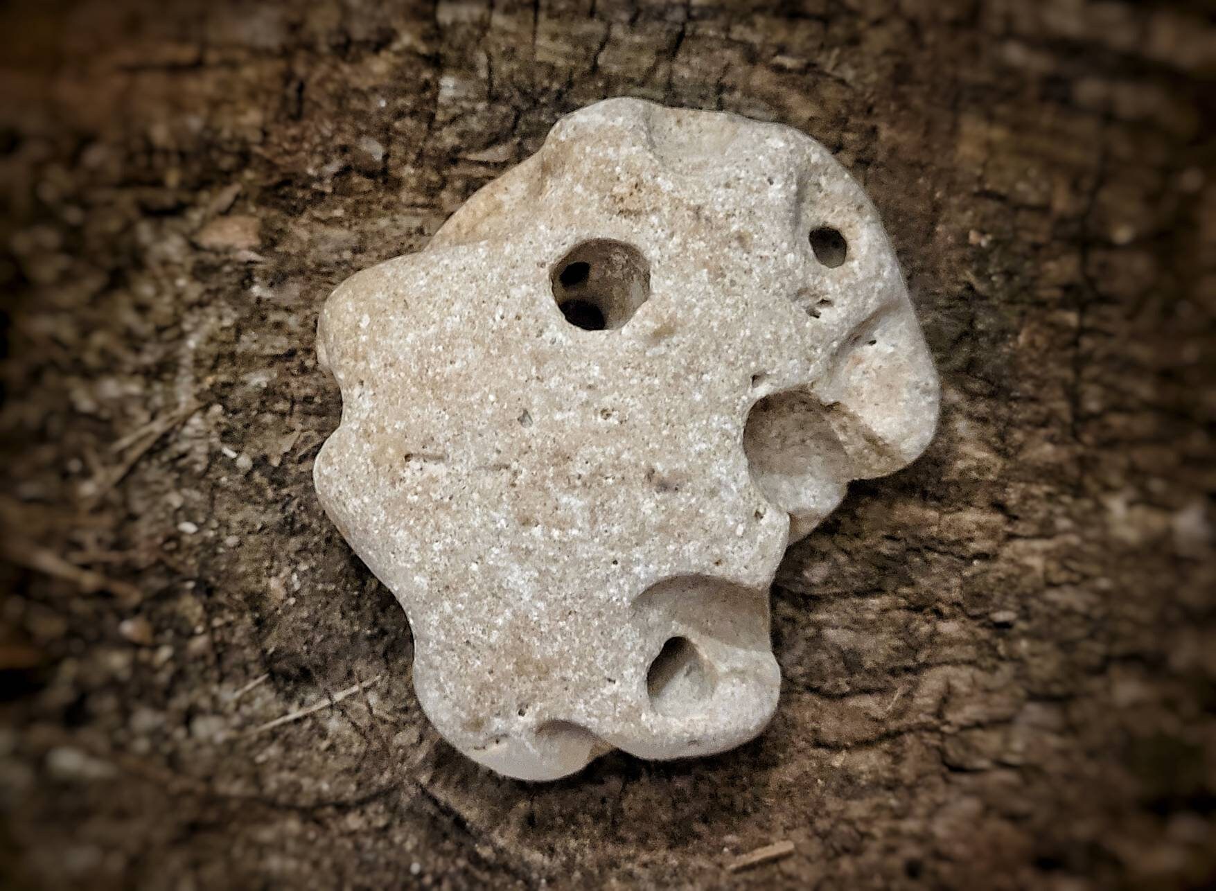 Hagstone Naturel Sorcières Pierre Protection Amulette Fée Adder Sainte Fae Wicca Magie Hag Yule Arbr