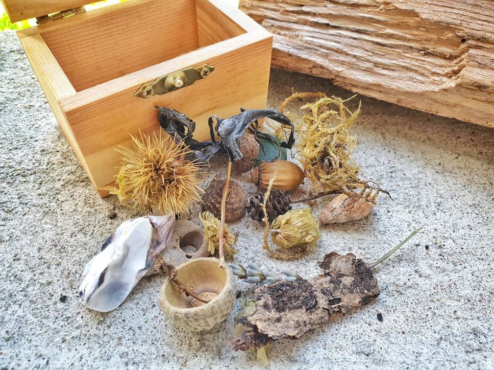 L'offrande Païenne Ensemble Déesse Offre Des Offrandes Naturelles Dieu Païen Hedgewitch d'offrandes 