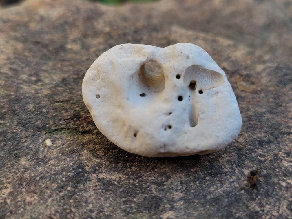 Hagstone Naturel Sorcières Pierre Protection Amulette Fée Adder Sainte Fae Wicca Magie Hag Yule Arbr