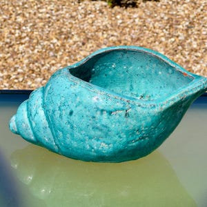 May include: A turquoise ceramic seashell planter with a textured surface. The planter has a wide opening and a spiral design on the side. The planter is sitting on a reflective surface.