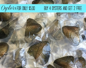 Freshwater Oyster Individually Wrapped With 6-9mm Round Pearl inside! AAAA+ BEST Quality 30 colors! Buy 4 Oysters get 2 Oysters Free!