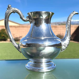 May include: A polished silver pitcher with a curved handle and spout. The pitcher has a bulbous body and a decorative base. The handle and spout have ornate detailing. The background shows a green lawn and a blue sky.