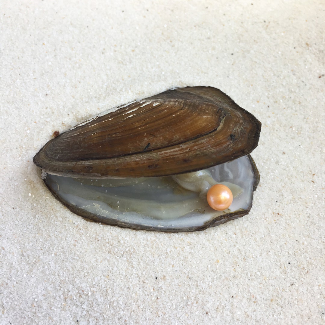 low orange pearl