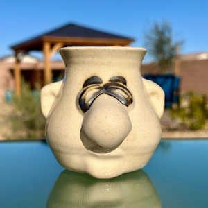 May include: A beige ceramic face-shaped vase with a large nose, eyes, and handles. The eyes and details are painted in dark brown. The vase is sitting on a reflective surface with a blurred outdoor background.