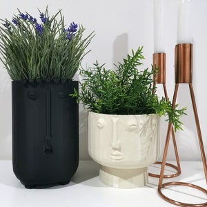 Visage Planter planter Desk Planterplanter Potgift Pot Plant Pot Indoor  Planters Dry Plants 