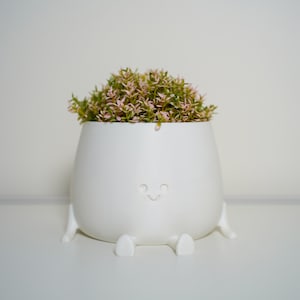 May include: White ceramic planter with four legs and a smiling face, holding a small green plant with pink flowers.