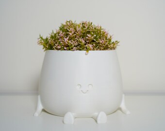 Smiley Planter Gift Planter Pot Plant Desk Planter Indoor Cute Plant Pot Succulent Planter Lovers Gift Home Decor Housewarming Gift