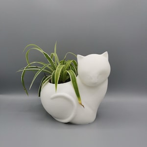 Cat Planter| Animal Planter | Cute Planter|Indoor Planter|Cactus Planter|Gift|Present|Container|Pot|Succulent