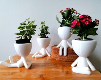 Planteur de figurines | Jardinière | Cache-pot | Jardinière de bureau | Jardinière cadeau | Pot de fleurs mignon | Jardinière succulente | Jardinières d'intérieur