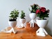 Figure Planter|Planter|Plant pot|Desk Planter|Gift Planter| Plant Pot| Succulent Planter| Indoor Planters 