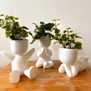 Vaso per piante grasse a forma di figura grassa / Vaso per piante in plastica PLA