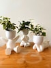 Fat Figure Planter|Planter| Desk Planter|Planter Pot|Gift Planter| Plant Pot| Succulent Planter| Indoor Planters | Namaste Planter