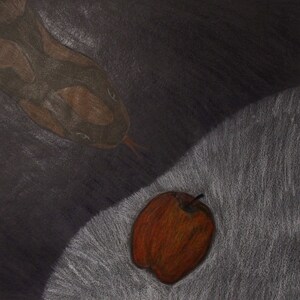 Picture snake with apple colored pencil drawing on drawing paper signed and dated vintage